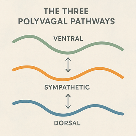 Mastering your body’s stress signals